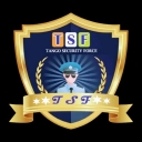  TSF Security Services