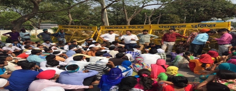 LA HARYANA - CLAWAHRY(06821)