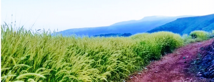  - GPRS Constructive Solutions