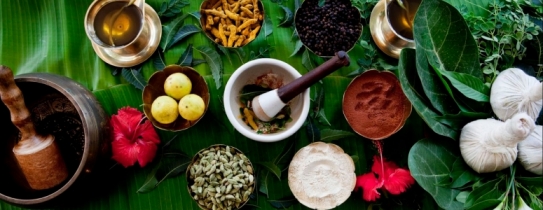 Ayurveda Products - वर्धमान आयुर्वेद औषधी भण्डार