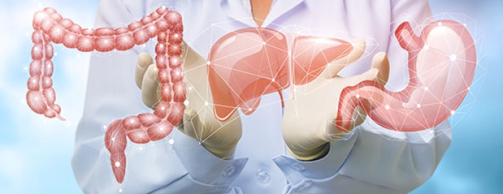 Doctors - Liver & Gastro Clinic