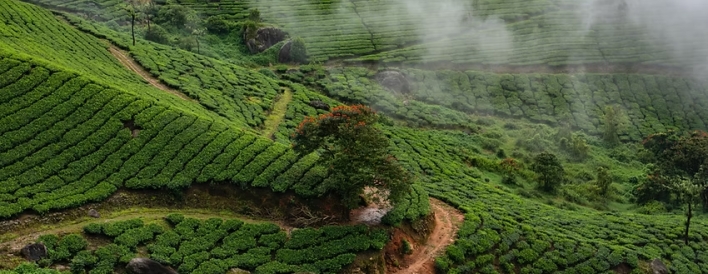 Resorts - Three Hills Resort