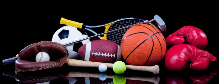 Cricket bat - UNIVERSAL TRADERS (SPORTS)