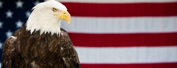  - EAGLE'S KLUB CONSULTANCY 