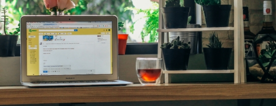 PASSPORT - Chawla Future Point & फोटोस्टेट 