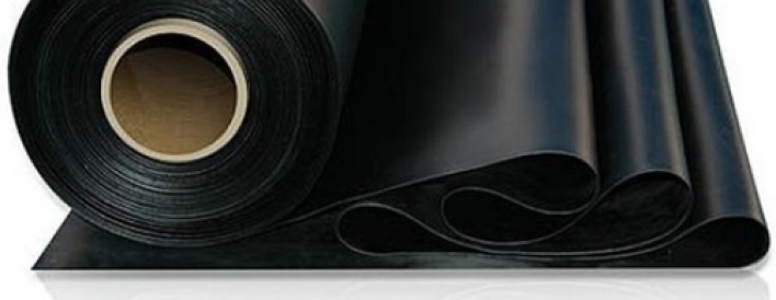  - Shree Radhika Shyam Group Of Ind.